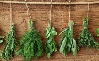 3 tips for growing herbs indoors