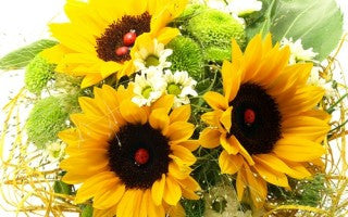 Flower power: Brighten your home with your own flower arrangements