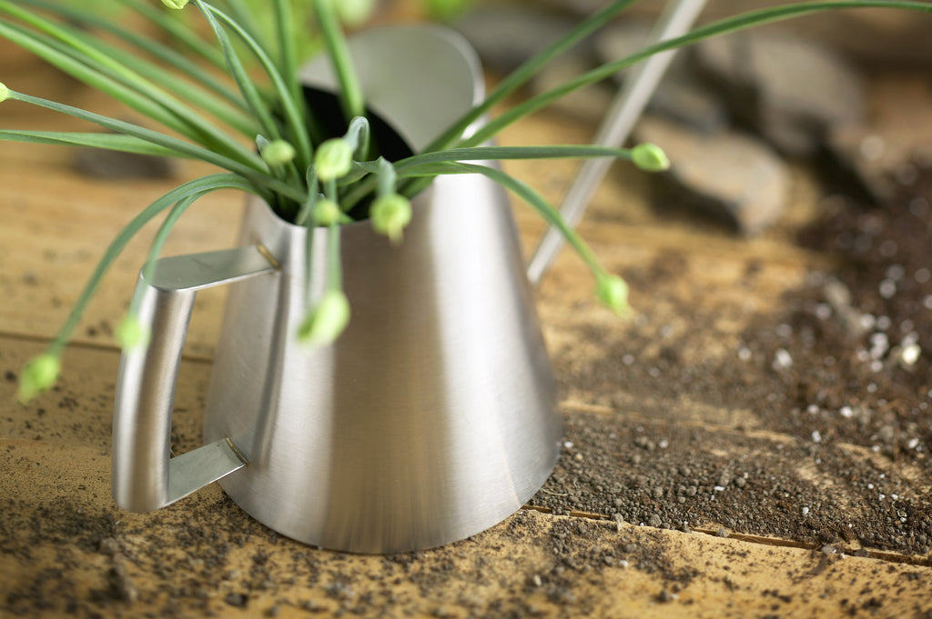 Creative Gardening with StainlessLUX 72253 Watering Can
